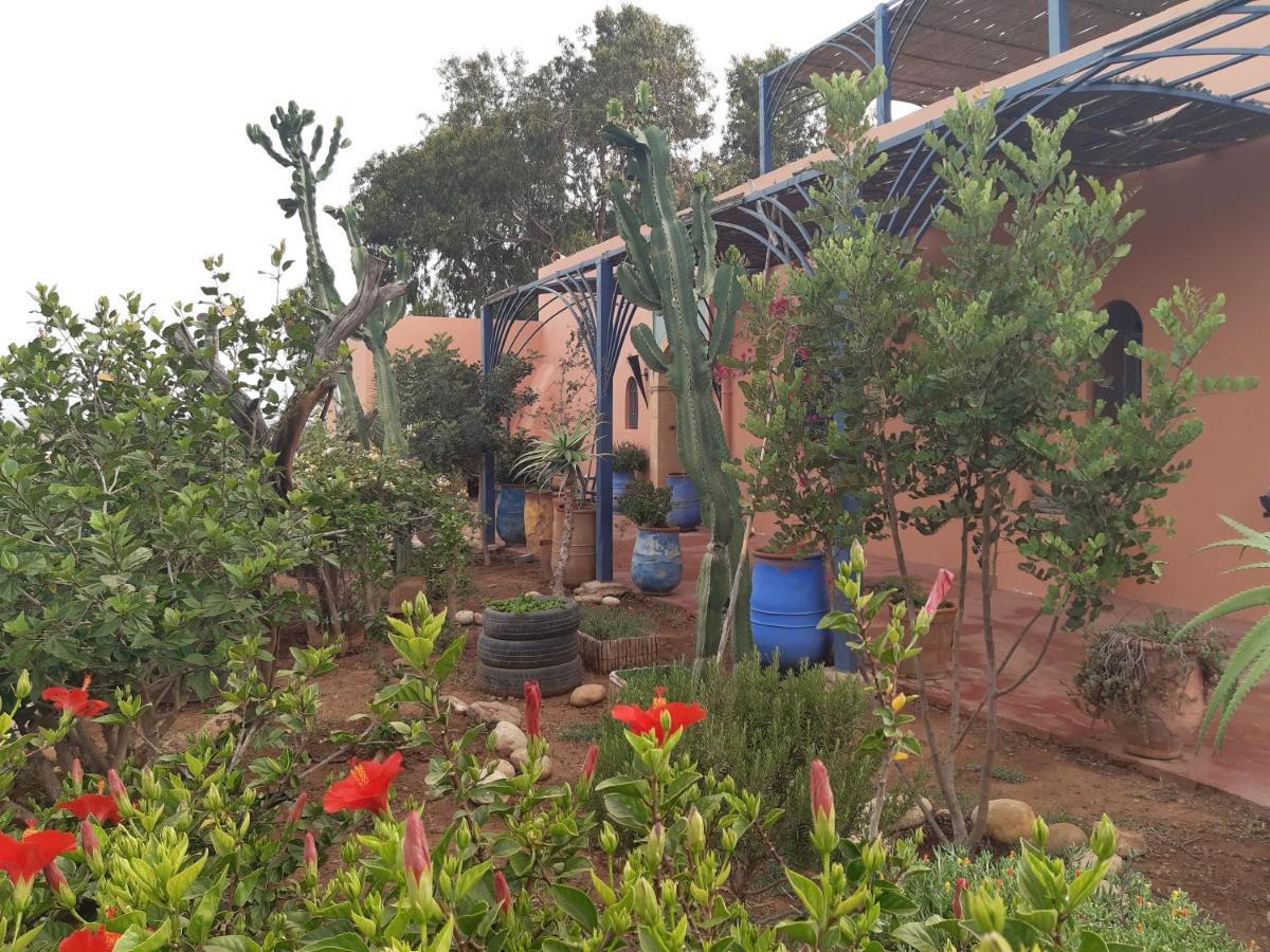 Riad Douar Des Oliviers El Arba Экстерьер фото